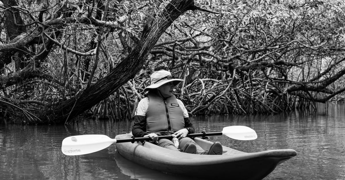 Bioluminescence kayaking Andaman mangrove creek