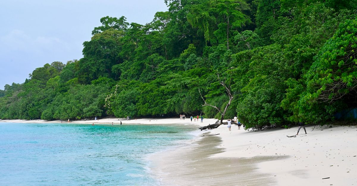 Neil Island untouched beach Andaman