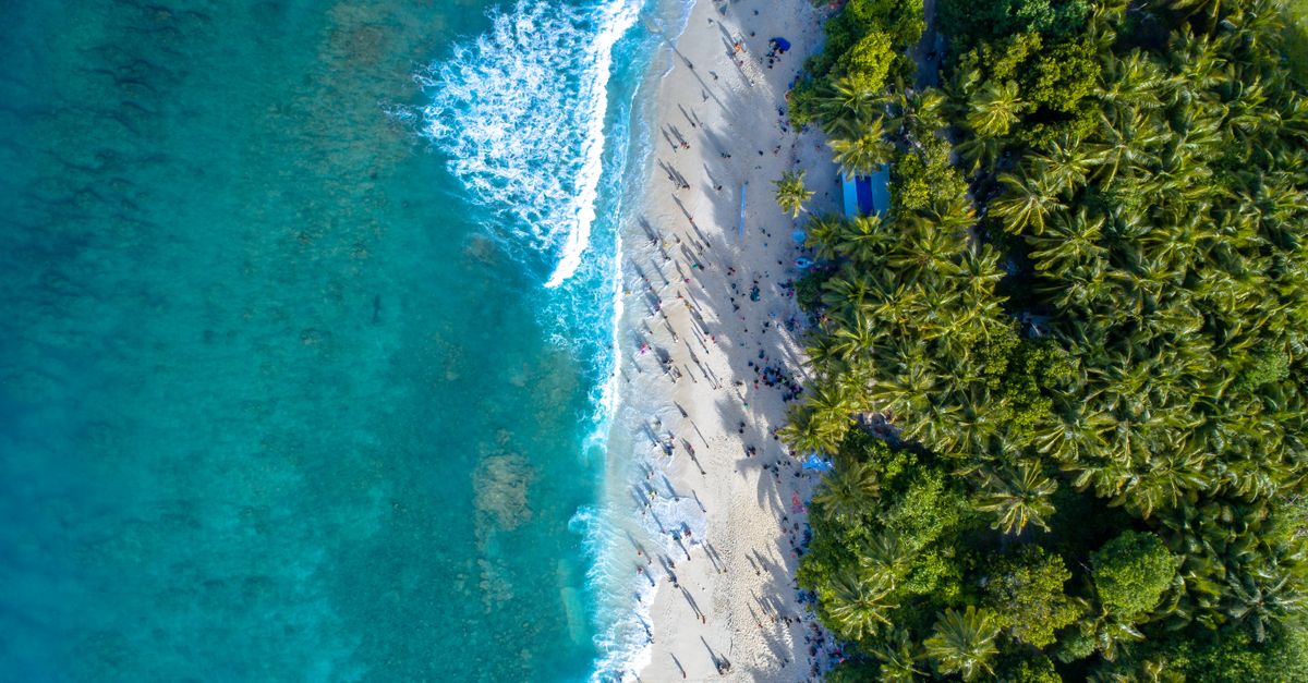 Radhanagar Beach aerial view Havelock Island Andaman